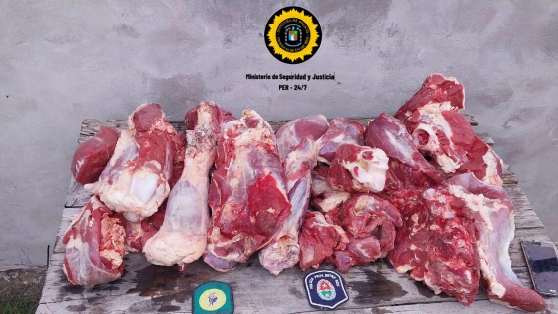 Departamento Feliciano: realizan dos allanamientos y secuestran cortes carnicos por un hecho de abigeato