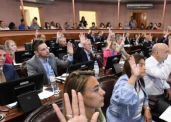 El Concejo Deliberante de Federación solicitó a la Cámara de Diputados la designación como Vocal de CAFESG por la Minoría a un Federaense