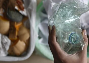 Concordia comienza con la recolección diferenciada de residuos en toda la ciudad