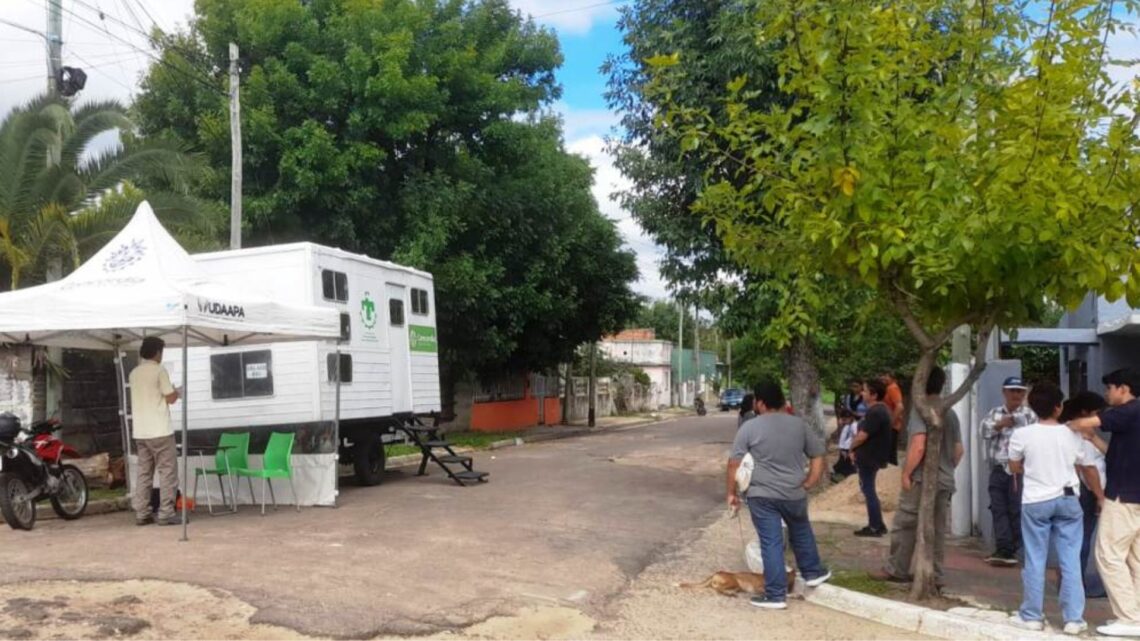 Castraciones gratuitas