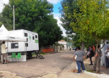 Castraciones gratuitas