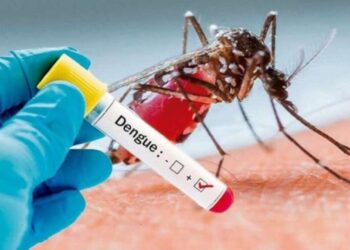 «Falleció Una Mujer de Mocoretá que Contrajo Dengue por Segunda Vez»