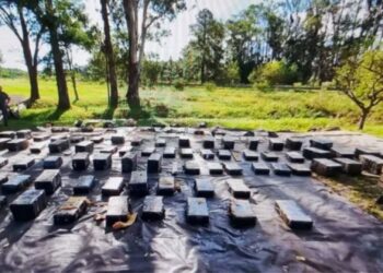 Comenzó el juicio contra un camionero que fue detenido en inmediaciones del peaje transportando 2 toneladas de marihuana