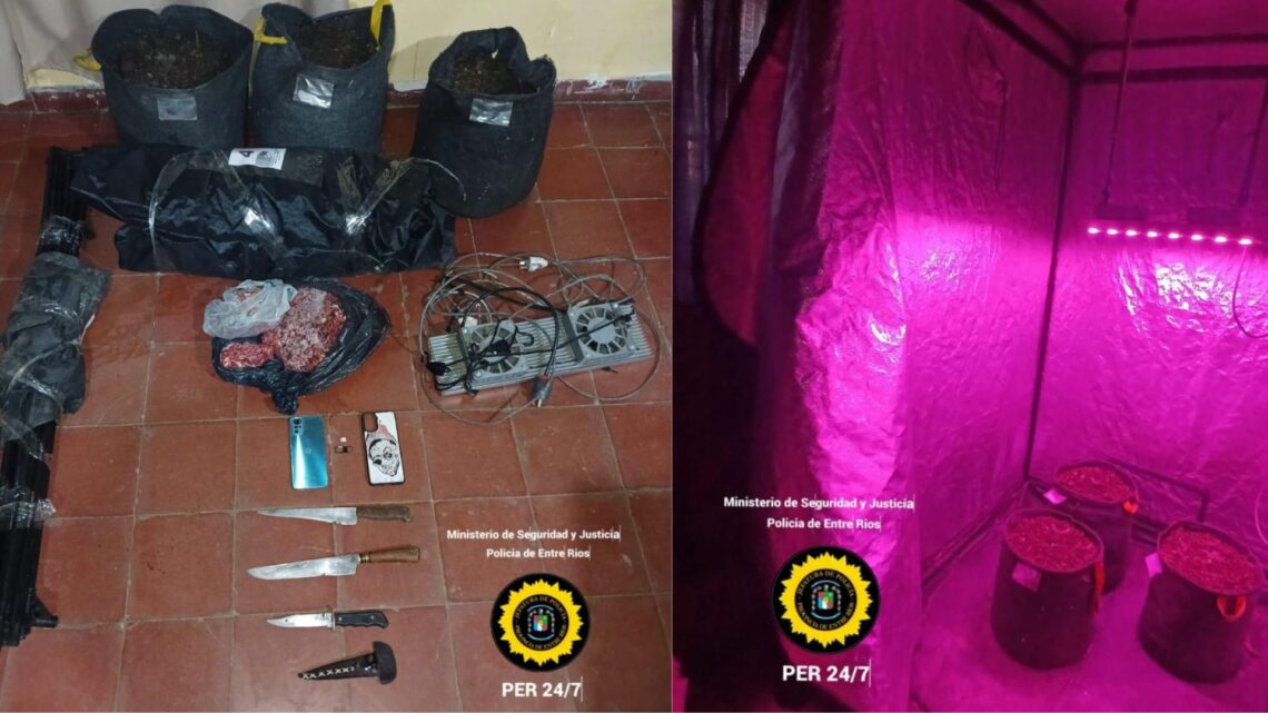 Operativo Contra el Abigeato en la Ciudad de Bovril: Incautación de Elementos de Interés y un Invernadero con Plantas de Cannabis Sativa (Marihuana)