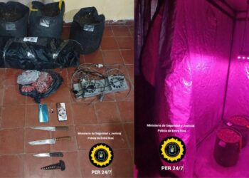 Operativo Contra el Abigeato en la Ciudad de Bovril: Incautación de Elementos de Interés y un Invernadero con Plantas de Cannabis Sativa (Marihuana)