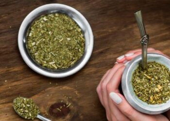 Qué aspectos de la salud mejora el consumo de mate: los principales beneficios