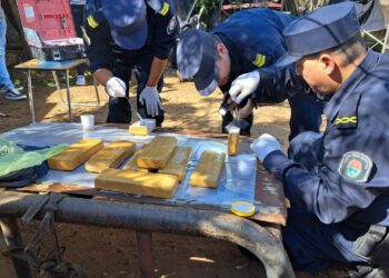 Desde la policía dieron más precisiones sobre el narco detenido con más de seis kilos de marihuana y que estaba fugitivo hace cuatro meses