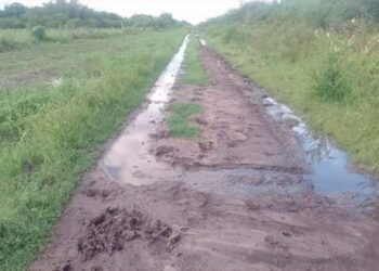 Frigerio presentó un proyecto para declarar la emergencia vial