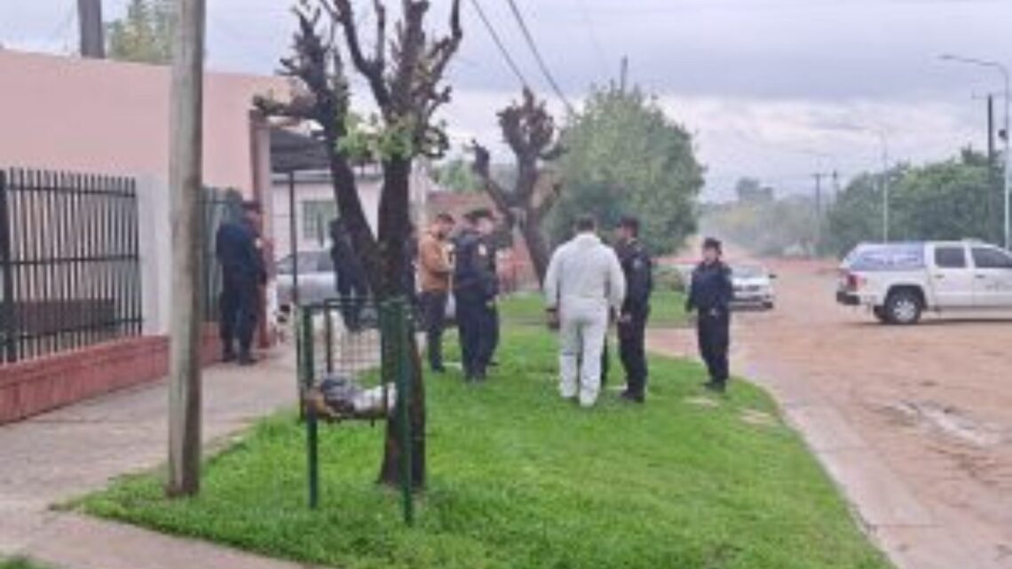 Un joven asesinó de varias puñaladas a una mujer y luego intentó prender fuego la vivienda