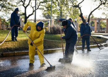 Se intensifican las tareas de limpieza en la zona alta de la costanera