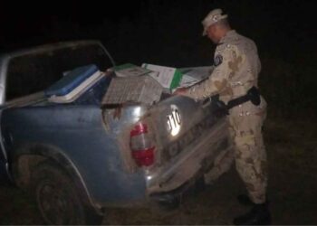 LA BRIGADA DE NOGOYA IMPIDIO UN HURTO DE FITOSANITARIOS