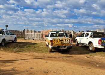 Allanaron la vivienda de un conocido delincuente del barrio Nueva Esperanza tras el robo de ovinos en La Criolla