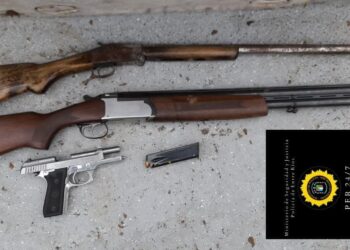 PREVENCION DE DELITOS RURALES DURANTE FIN DE SEMANA LARGO SECUESTRAN 19 ARMAS DE FUEGO Y UN AIRE COMPRIMIDO REFORMADO A 22