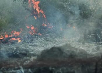 AVANZA LA ORGANIZACIÓN DE LA BRIGADA FORESTAL CIVIL