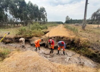 Vialidad trabaja en la recuperación de trazas rurales del departamento Concordia