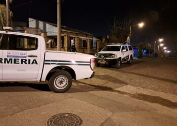 Quién es Gonzalo Martínez: el joven detenido por la Gendarmería y que seguiría el negocio narco de su madre