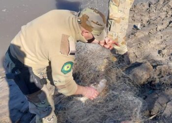 EN OPERATIVOS SECUESTRAN UN ARMA DE FUEGO EN EL INGRESO A MACIA, Y GRAN CANTIDAD DE TRASMALLOS COLOCADOS EN EL RÍO GUALEGUAY