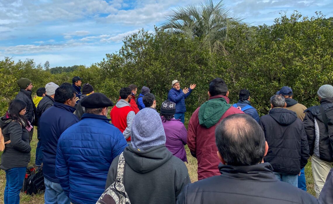 CAPACITACIÓN LABORAL EN PODA DE CÍTRICOS