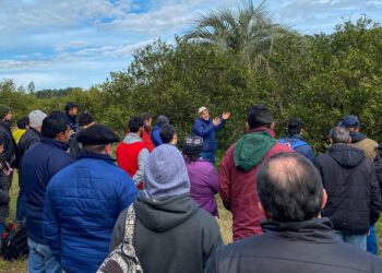 CAPACITACIÓN LABORAL EN PODA DE CÍTRICOS