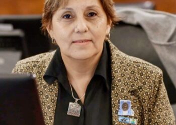 Diputada Salinas: «El Pacto de Mayo es un hito histórico»