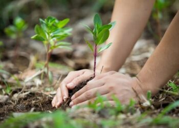 PRIMER CONCURSO FOTOGRÁFICO “ACCIONES AMBIENTALES”