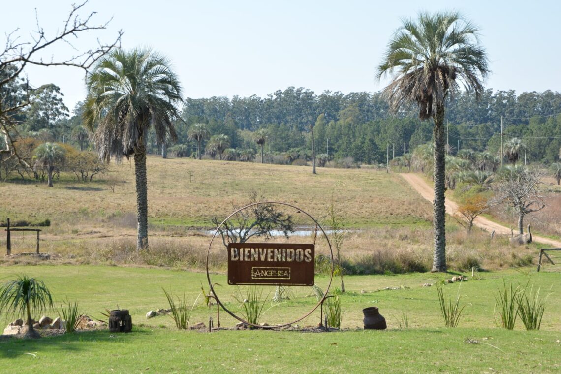 HOTELERÍA SUSTENTABLE: “LA ANGÉLICA” PARTICIPA DE UN CONCURSO TRINACIONAL Y CONCORDIA PUEDE VOTAR