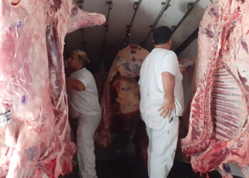 Conciencia y prevención: medidas para la lucha contra el Síndrome Urémico Hemolítico