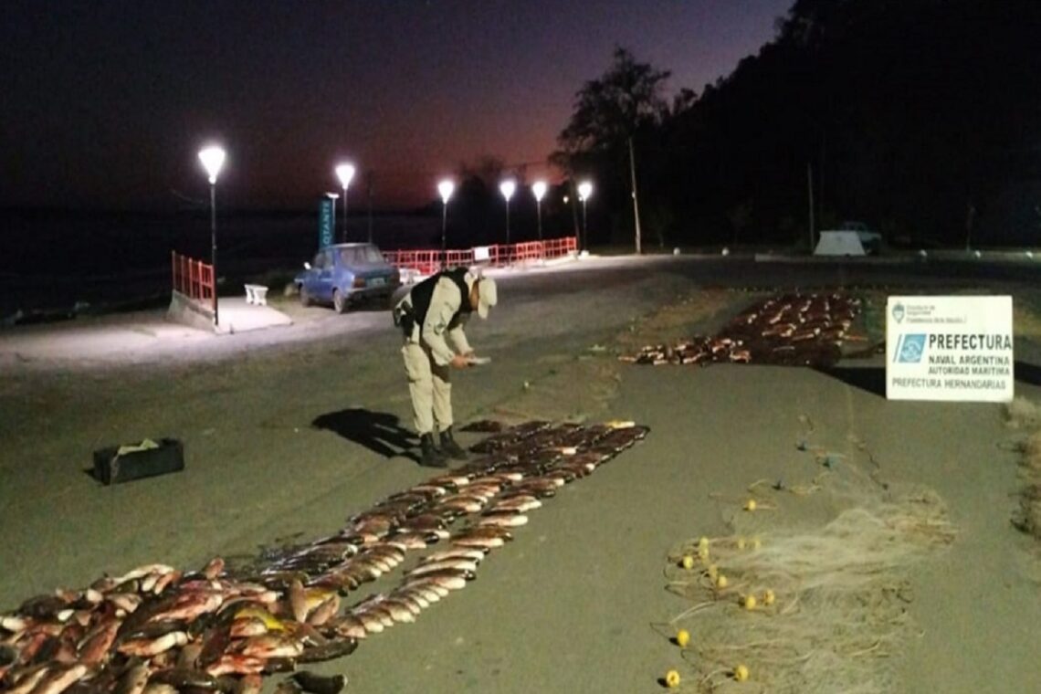 Decomisan 3.456 kilos de pescado y más de 900 metros de redes de pesca
