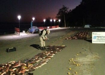 Decomisan 3.456 kilos de pescado y más de 900 metros de redes de pesca