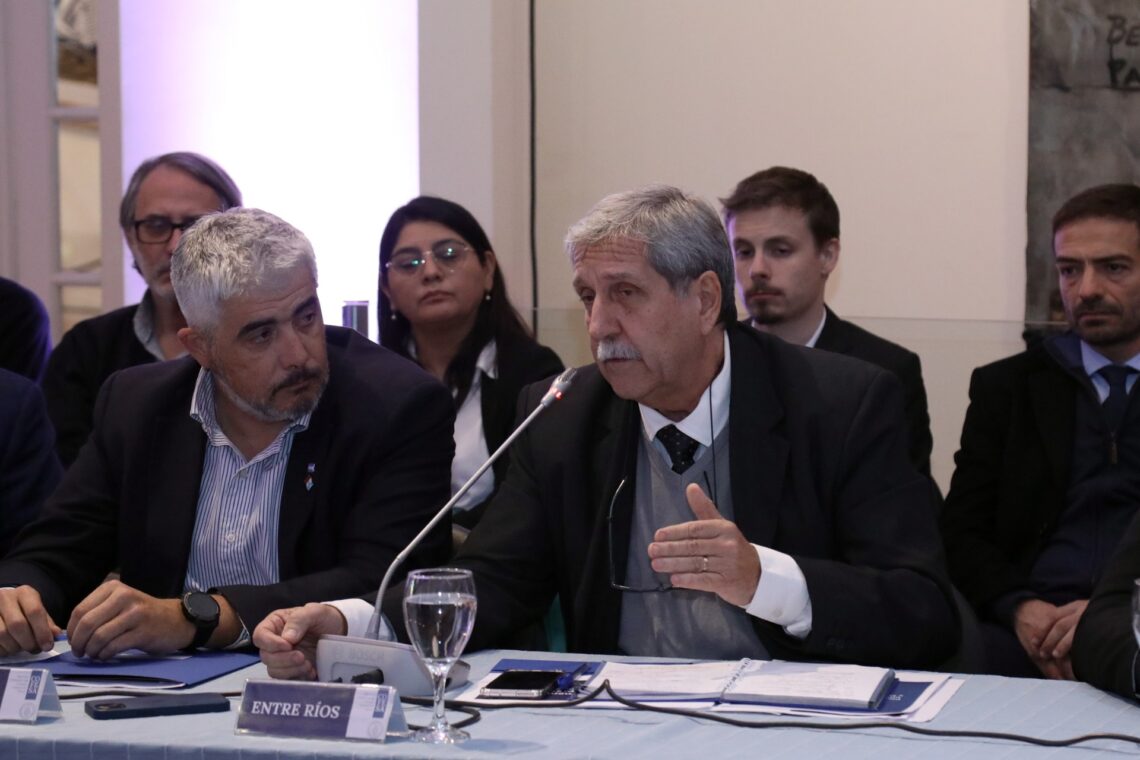 Plan Integral Dengue, vacunas de Calendario y procuración de órganos fueron los ejes del último Cofesa