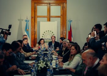 El proyecto de reforma política y electoral en la provincia comenzó a tratarse en Diputados