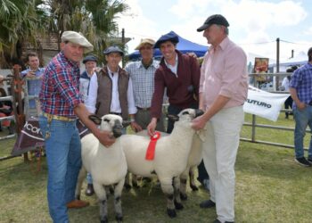 Desde la Sociedad Rural anticipan expectativas para la Expo Rural 2024 y definen un panorama cauto pero optimista en el sector agropecuario