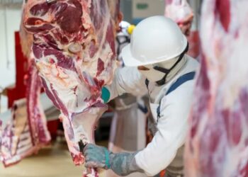 BÚSQUEDA DE PERSONAL PARA IMPORTANTE EMPRESA FRIGORÍFICA EN CONCORDIA