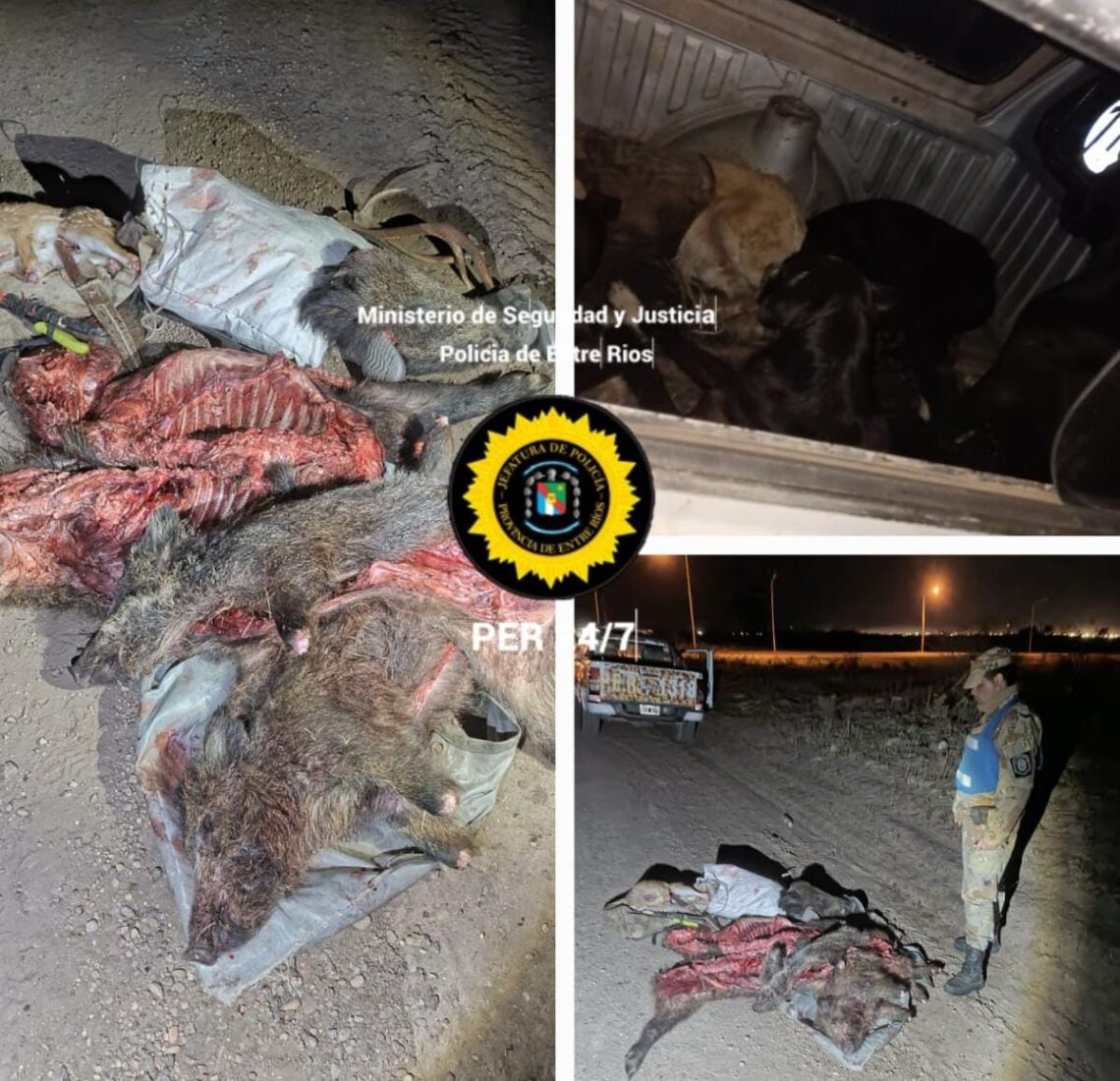 OPERATIVOS NÁUTICOS EN EL RÍO GUALEGUAYCHÚ, Y EN LOS ARROYOS EL CURA Y GUALEYAN