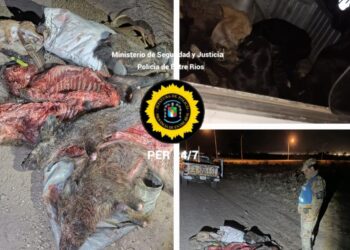 OPERATIVOS NÁUTICOS EN EL RÍO GUALEGUAYCHÚ, Y EN LOS ARROYOS EL CURA Y GUALEYAN