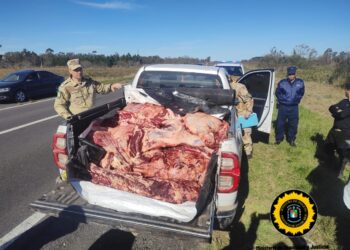 GUALEGUAYCHÚ ABIGEATO EN FLAGRANCIA – DETIENEN A DOS PERSONAS SECUESTRAN 1500 KG DE CARNE VACUNA, UNA TOYOTA HILUX, $250.000, LUEGO DE UNA PERSECUCIÓN POR TIERRA Y CON HELICÓPTERO DE APOYO