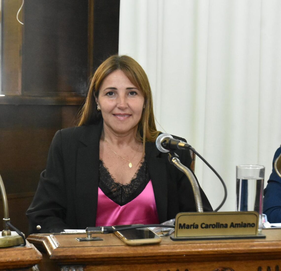 Amiano solicitó al Ejecutivo información sobre las medidas preventivas contra el dengue