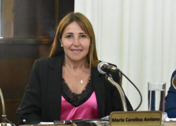 Amiano solicitó al Ejecutivo información sobre las medidas preventivas contra el dengue