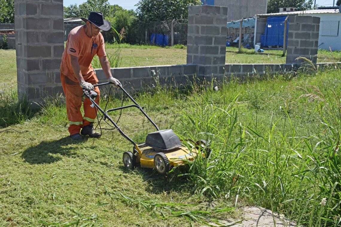 Dengue: la limpieza de nuestro hogar es fundamental para evitar la reproducción de mosquitos