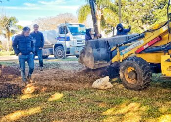 El Intendente Bravo estuvo presente en la llegada y la plantación de Palmeras Pindó, especie autóctonas para el Paseo Las Palmeras