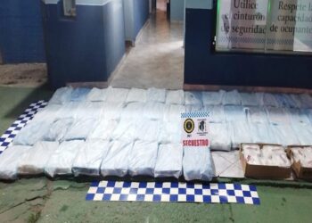 Decomisaron 530 kg de filete de pescado y numerosas docenas de empanadas de pescado