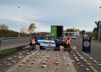 La Policía Federal incautó un cargamento de casi 50 kilos de flores de marihuana que tenían como destino una ciudad de Buenos Aires