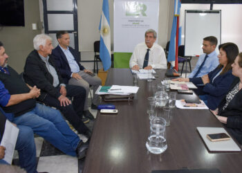 Se reunió la mesa de trabajo entre Salud, Iosper y anestesistas para delinear un nuevo convenio prestacional