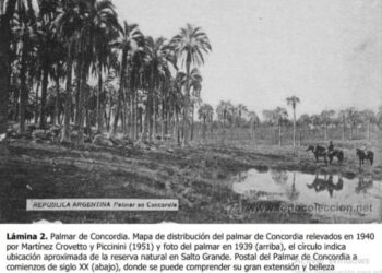 “Flora y vegetación de la Reserva Natural de Salto Grande”
