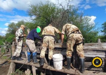 BRIGADA PRIMERA SECCION ISLA VICTORIA – REALIZARON UN ALLANAMIENTO Y SECUESTRO DE UN ANIMAL BOVINO EN LA ISLA DEL VECINO DEL DENUNCIANTE
