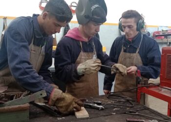 MUESTRA EDUCATIVA DEL PROGRAMA DE FORMACIÓN PROFESIONAL DE LA MUNICIPALIDAD DE CONCORDIA