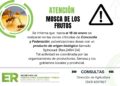 Citrus: Entre Ríos combate Mosca de los Frutos con un insumo biológico