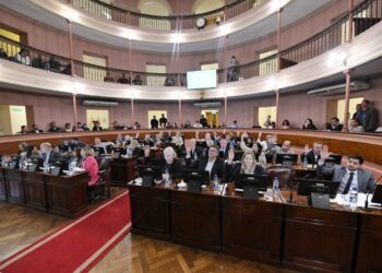 Tiene media sanción el proyecto de ley del Ejecutivo para preservar al dorado