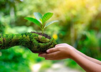 Lena impulsa la creación de un «Compromiso Ambiental» en las escuelas de Entre Ríos