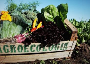 LA MUNICIPALIDAD ORGANIZA ACTIVIDADES POR EL MES DE LA AGROECOLOGÍA
